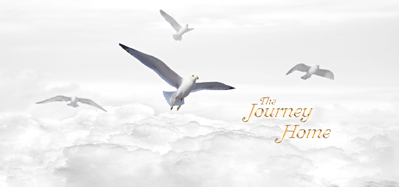 Journey Home Clouds White Gold